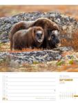 Bild von Skandinavien - Der Zauber des hohen Nordens - Wochenplaner Kalender 2026