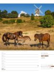 Bild von Skandinavien - Der Zauber des hohen Nordens - Wochenplaner Kalender 2026