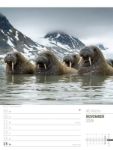 Bild von Skandinavien - Der Zauber des hohen Nordens - Wochenplaner Kalender 2026