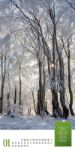Bild von Mythos Wald - Literatur-Kalender 2026