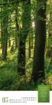Bild von Mythos Wald - Literatur-Kalender 2026