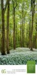 Bild von Mythos Wald - Literatur-Kalender 2026
