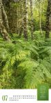 Bild von Mythos Wald - Literatur-Kalender 2026