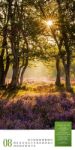 Bild von Mythos Wald - Literatur-Kalender 2026
