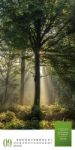 Bild von Mythos Wald - Literatur-Kalender 2026