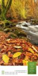 Bild von Mythos Wald - Literatur-Kalender 2026