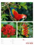 Bild von Farben der Natur - Wochenplaner Kalender 2026