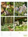 Bild von Farben der Natur - Wochenplaner Kalender 2026
