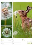 Bild von Farben der Natur - Wochenplaner Kalender 2026
