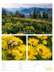 Bild von Farben der Natur - Wochenplaner Kalender 2026