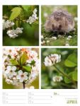 Bild von Farben der Natur - Wochenplaner Kalender 2026