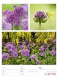 Bild von Farben der Natur - Wochenplaner Kalender 2026