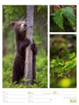 Bild von Farben der Natur - Wochenplaner Kalender 2026