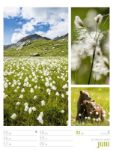 Bild von Farben der Natur - Wochenplaner Kalender 2026