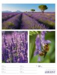 Bild von Farben der Natur - Wochenplaner Kalender 2026