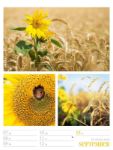 Bild von Farben der Natur - Wochenplaner Kalender 2026