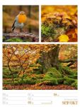 Bild von Farben der Natur - Wochenplaner Kalender 2026