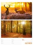 Bild von Farben der Natur - Wochenplaner Kalender 2026