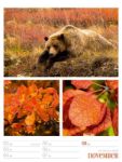Bild von Farben der Natur - Wochenplaner Kalender 2026
