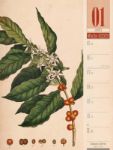 Bild von Culinarium - Küche, Kräuter, Kurioses - Vintage Wochenplaner Kalender 2026