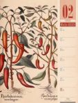 Bild von Culinarium - Küche, Kräuter, Kurioses - Vintage Wochenplaner Kalender 2026