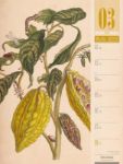 Bild von Culinarium - Küche, Kräuter, Kurioses - Vintage Wochenplaner Kalender 2026