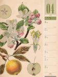 Bild von Culinarium - Küche, Kräuter, Kurioses - Vintage Wochenplaner Kalender 2026