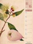Bild von Culinarium - Küche, Kräuter, Kurioses - Vintage Wochenplaner Kalender 2026