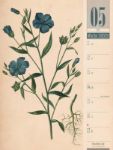Bild von Culinarium - Küche, Kräuter, Kurioses - Vintage Wochenplaner Kalender 2026