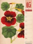 Bild von Culinarium - Küche, Kräuter, Kurioses - Vintage Wochenplaner Kalender 2026