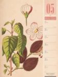 Bild von Culinarium - Küche, Kräuter, Kurioses - Vintage Wochenplaner Kalender 2026