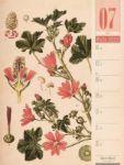 Bild von Culinarium - Küche, Kräuter, Kurioses - Vintage Wochenplaner Kalender 2026