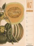 Bild von Culinarium - Küche, Kräuter, Kurioses - Vintage Wochenplaner Kalender 2026