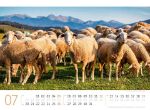 Bild von Schafe Kalender 2026