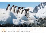Bild von Pinguine Kalender 2026