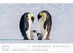 Bild von Pinguine Kalender 2026