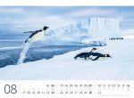 Bild von Pinguine Kalender 2026