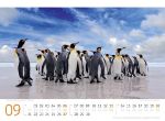 Bild von Pinguine Kalender 2026