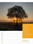 Bild von Augenblicke der Achtsamkeit - Wochenplaner Kalender 2026
