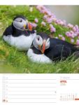 Bild von Schottland - Zwischen Highlands und Hebriden - Wochenplaner Kalender 2026