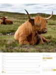 Bild von Schottland - Zwischen Highlands und Hebriden - Wochenplaner Kalender 2026