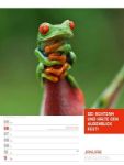Bild von Tierisch! Sprüchekalender - Wochenplaner Kalender 2026