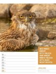 Bild von Tierisch! Sprüchekalender - Wochenplaner Kalender 2026