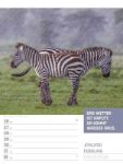 Bild von Tierisch! Sprüchekalender - Wochenplaner Kalender 2026