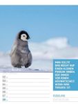 Bild von Tierisch! Sprüchekalender - Wochenplaner Kalender 2026