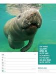 Bild von Tierisch! Sprüchekalender - Wochenplaner Kalender 2026