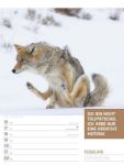 Bild von Tierisch! Sprüchekalender - Wochenplaner Kalender 2026