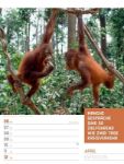 Bild von Tierisch! Sprüchekalender - Wochenplaner Kalender 2026