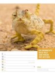 Bild von Tierisch! Sprüchekalender - Wochenplaner Kalender 2026