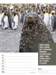Bild von Tierisch! Sprüchekalender - Wochenplaner Kalender 2026